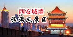 好想被操逼插逼干我视频中国陕西-西安城墙旅游风景区